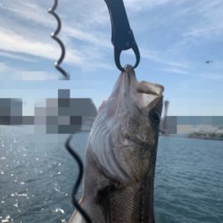 白昼ビッグシーバスキタ――(゚∀゚)――!!