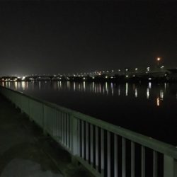 渋い〜浜寺水路