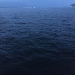 本日は渋いアジング