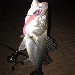 チーバスに感謝