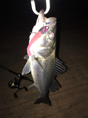 チーバスに感謝