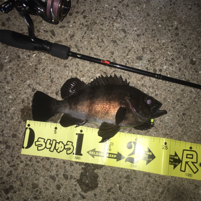 みんなでワイワイメバルゲーム☆GUNNING-STYLE