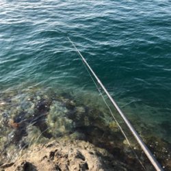 今年初キロアップ!