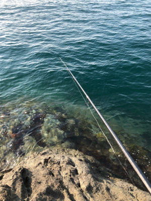 今年初キロアップ!