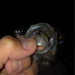 ボトムネチネチで連発！