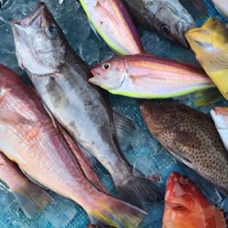 中深海とディープタイラバ