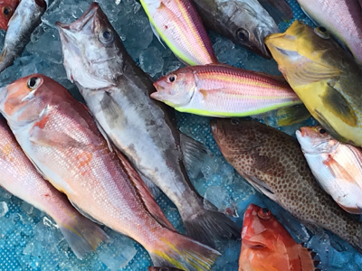 中深海とディープタイラバ