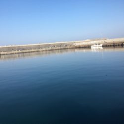 何とかメバリング成立(苦笑)