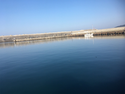 何とかメバリング成立(苦笑)