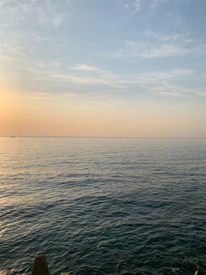 GWアオリイカ釣果!