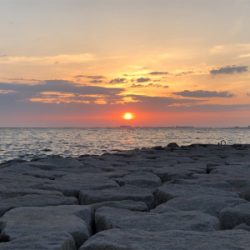 プラッキングで初メバル