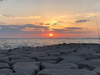 プラッキングで初メバル