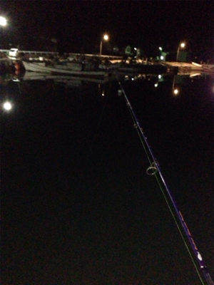 久しぶりのアジゲット