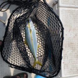 マイボート午前中釣行