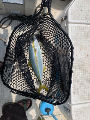 マイボート午前中釣行