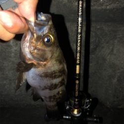 爆風メバリング