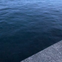 ウルトラライトショアジギング