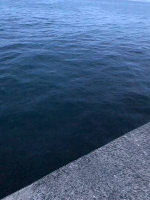 ウルトラライトショアジギング