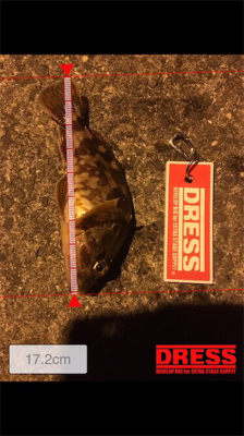 GW最終の五目ランガン