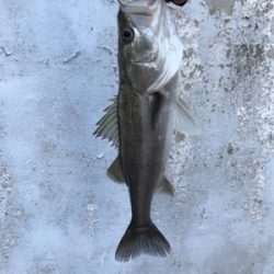 6ヒット4バラシ…