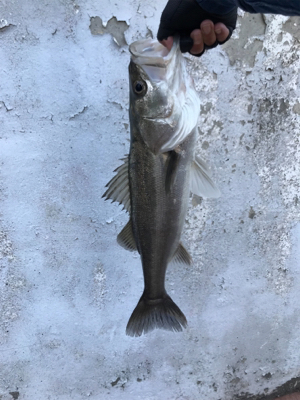 6ヒット4バラシ…