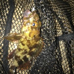 寒い中ガシリング(^。^)