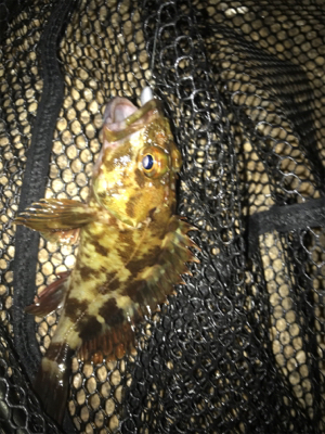 寒い中ガシリング(^。^)