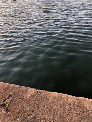 深夜 早朝アジング