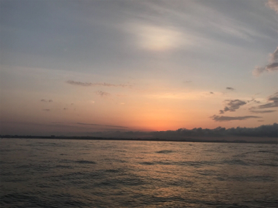 タコ  鯛  二本立て