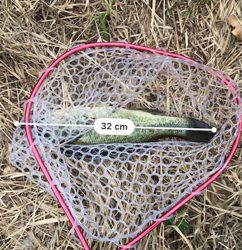 スモラバサイト