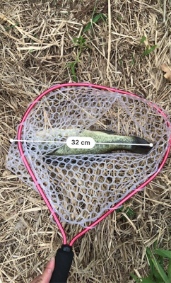 スモラバサイト