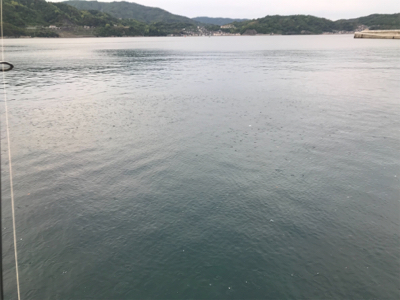 エソからの〜エソ