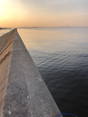 GWは仕事だったから…