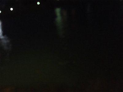 短時間アジング