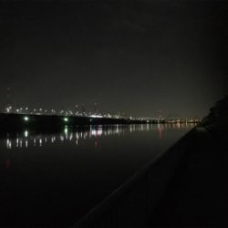 サクっとシーバス