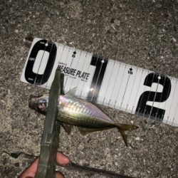 フロートアジング