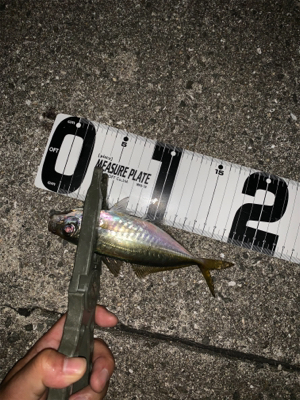 フロートアジング