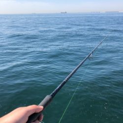 中々のサイズ！！