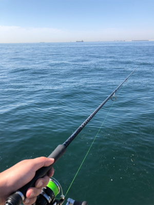 中々のサイズ！！