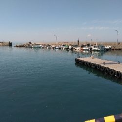 令和初、海上釣堀オーパ!