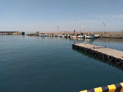 令和初、海上釣堀オーパ!