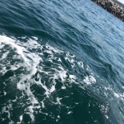 近場ショート便