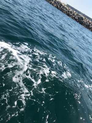 近場ショート便