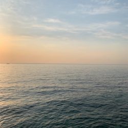 エギング、フラットフィッシュ