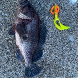 今シーズン初の沖堤釣行