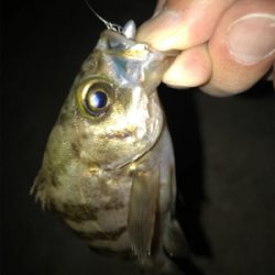 事前調査の後に