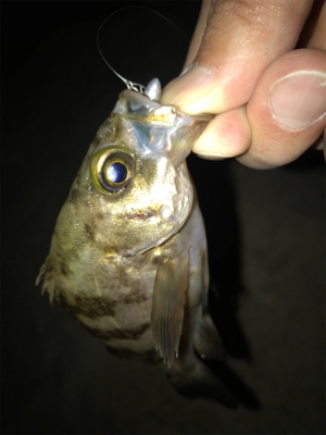 事前調査の後に