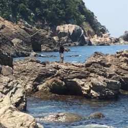 親父たちの釣行 和歌山編‼️