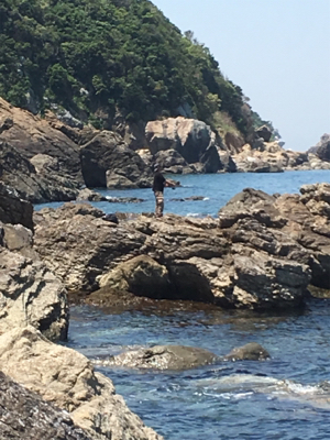 親父たちの釣行 和歌山編‼️