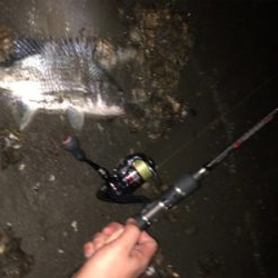 いつもの場所でいつもの釣り方